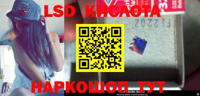 эйфоретик Берёзовский