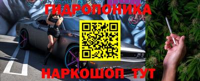 эйфоретик Берёзовский