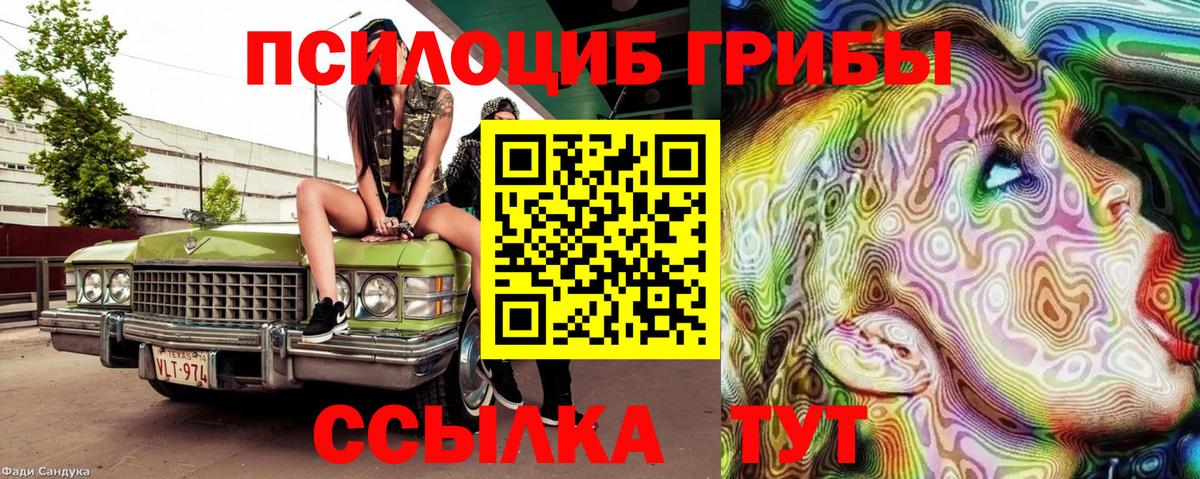 Галлюциногенные грибы Cubensis Кингисепп