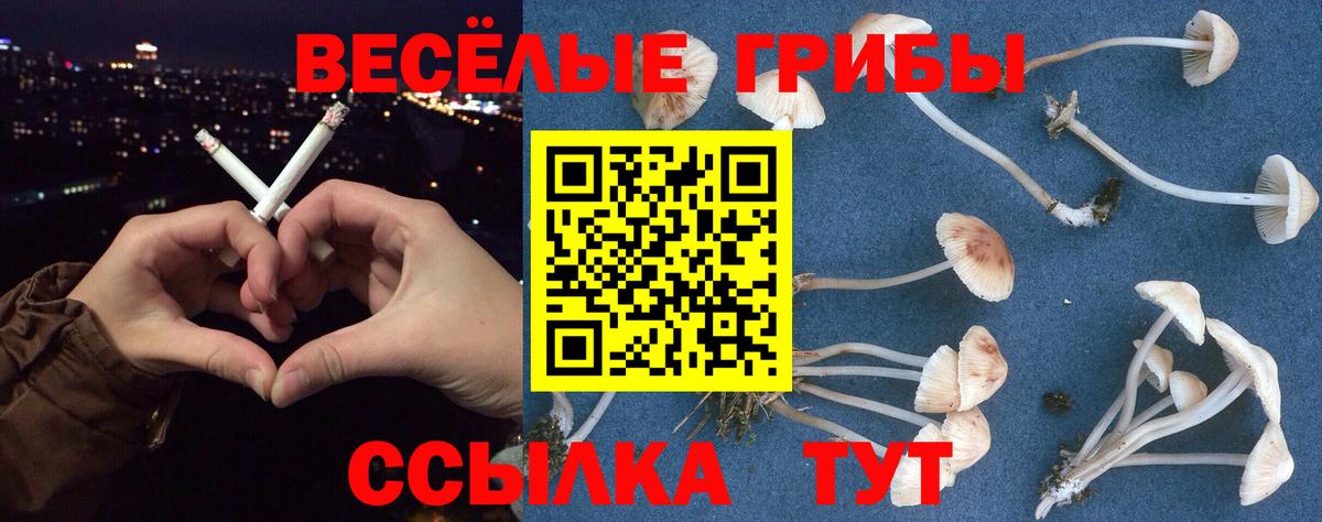 Псилоцибиновые грибы Magic Shrooms  Вход с VPN  Кингисепп 